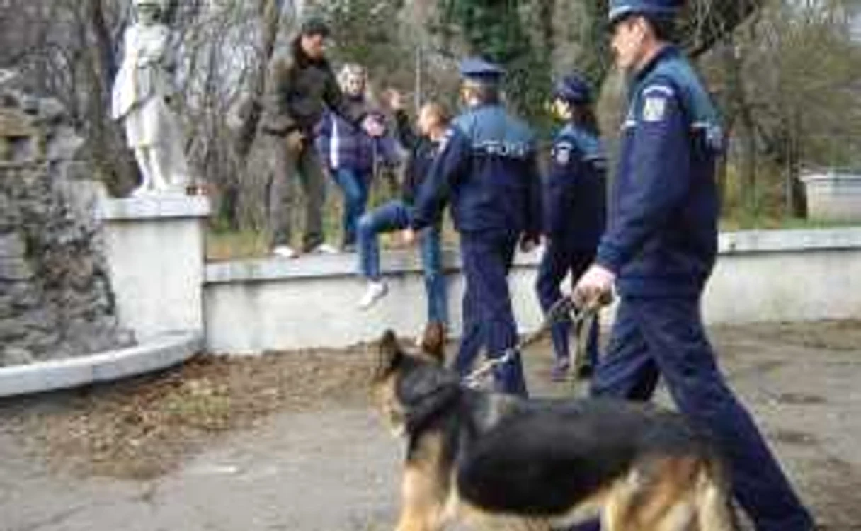 ARHIVĂ NICOLETA BUTNARU