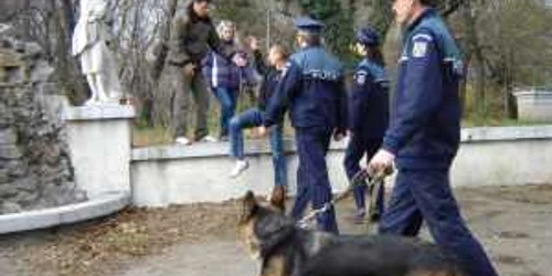 ARHIVĂ NICOLETA BUTNARU