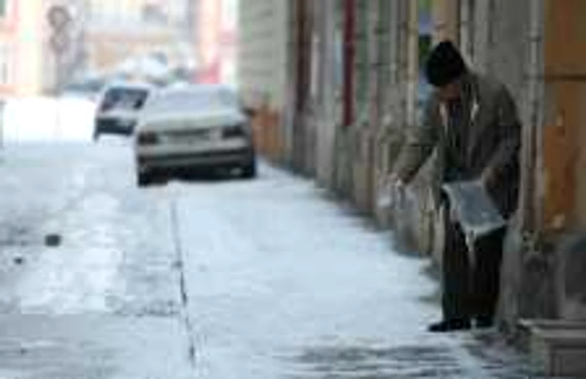 Timişorenii conştiincioşi curăţă trotuarele fără somaţii 