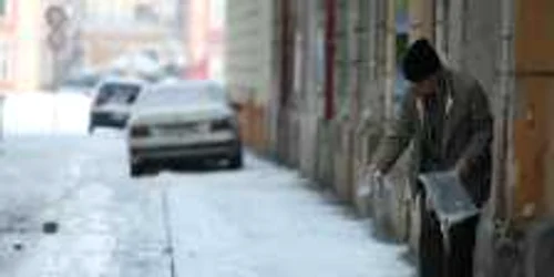 Timişorenii conştiincioşi curăţă trotuarele fără somaţii