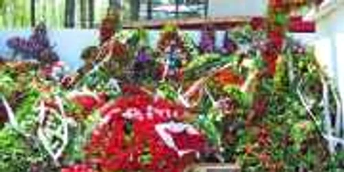 Bacău: Manifestări omagiale de Ziua Armatei