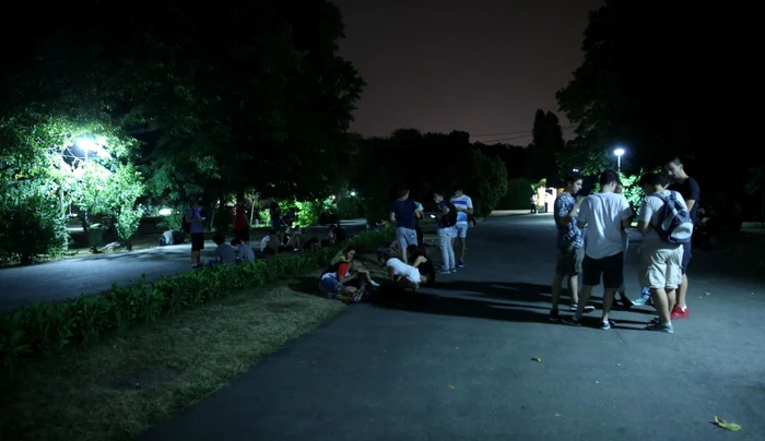 Parcul Herăstrău, teren de "vânătoare" nocturnăFoto: "Adevărul"