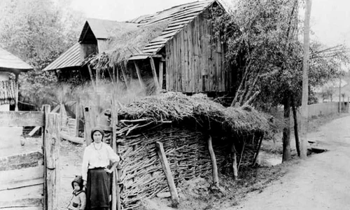 (Ne)idilica lume a satului românesc jpeg