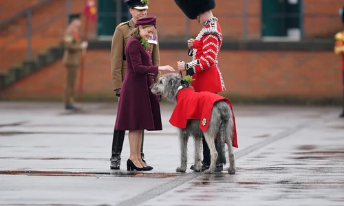 Lady Ghika St  Patrick's Day Parade Profimedia (4) jpg