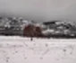 Zăpadă pe Munţii Măcinului la Greci - Dobrogea Sursa Ştefan Cioran