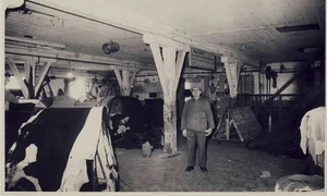 Fabrica de pielărie „S. Filderman” din Bacău, în perioada interbelică (© iMAGO Romaniae)