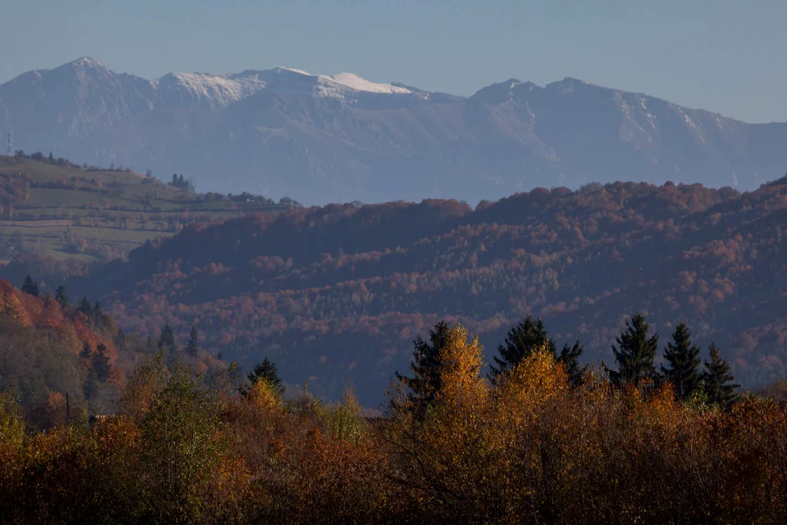 Starea naturii şi dezvoltarea durabilă jpeg