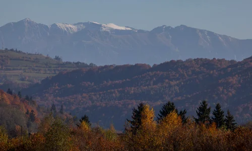 Starea naturii şi dezvoltarea durabilă jpeg