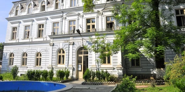 Colegiul Bănăţean va fi condus de vicepreşedinte PSD Timiş