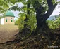 Orașul Cavnic  Foto Daniel Guță  ADEVĂRUL (8) jpg