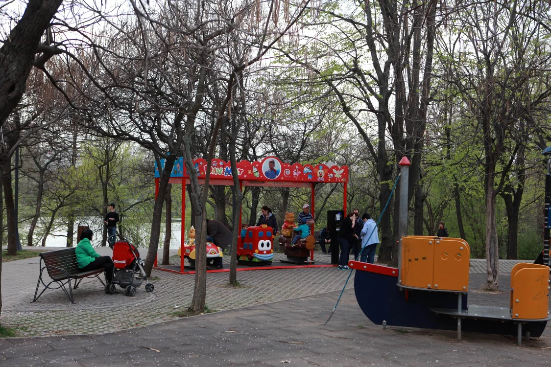 Hingherii au strâns 15 maidanezi din parcul IOR, din Capitală
