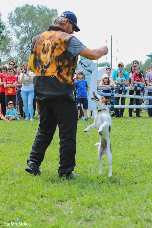 3 karpatia pony show 2019 6 jpg jpeg