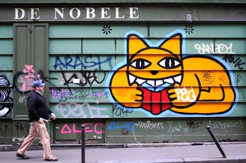 paris 2013 foto lucian muntean 24 JPG