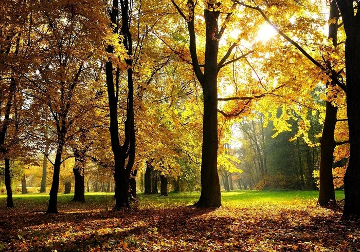 
    Prognoza meteo 14 octombrie ne arată că temperaturile sunt în creştere Foto: Click!  