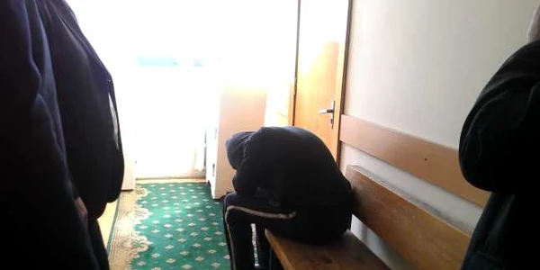 stapanul cainelui spagar
