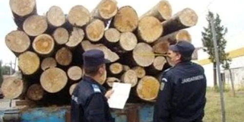 Şoferul  a fost sancţionat cu o amendă de 2.000 de lei