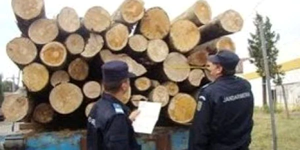 Şoferul a fost sancţionat cu o amendă de 2.000 de lei