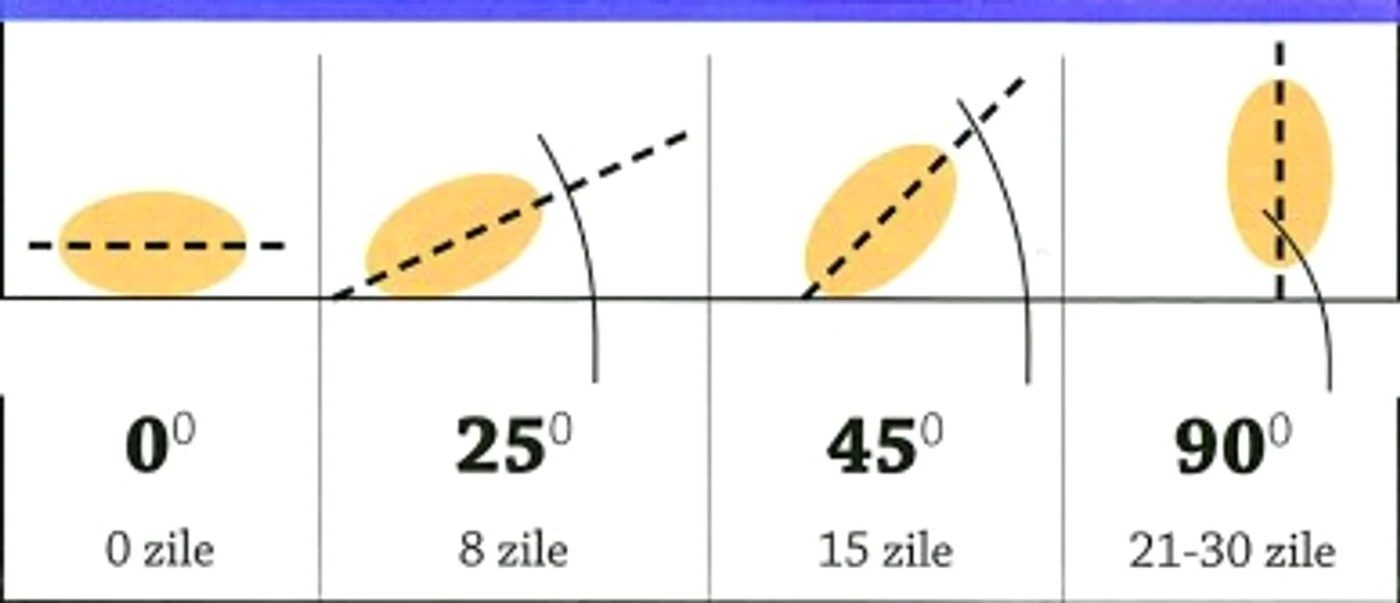 1 2 jpg jpeg