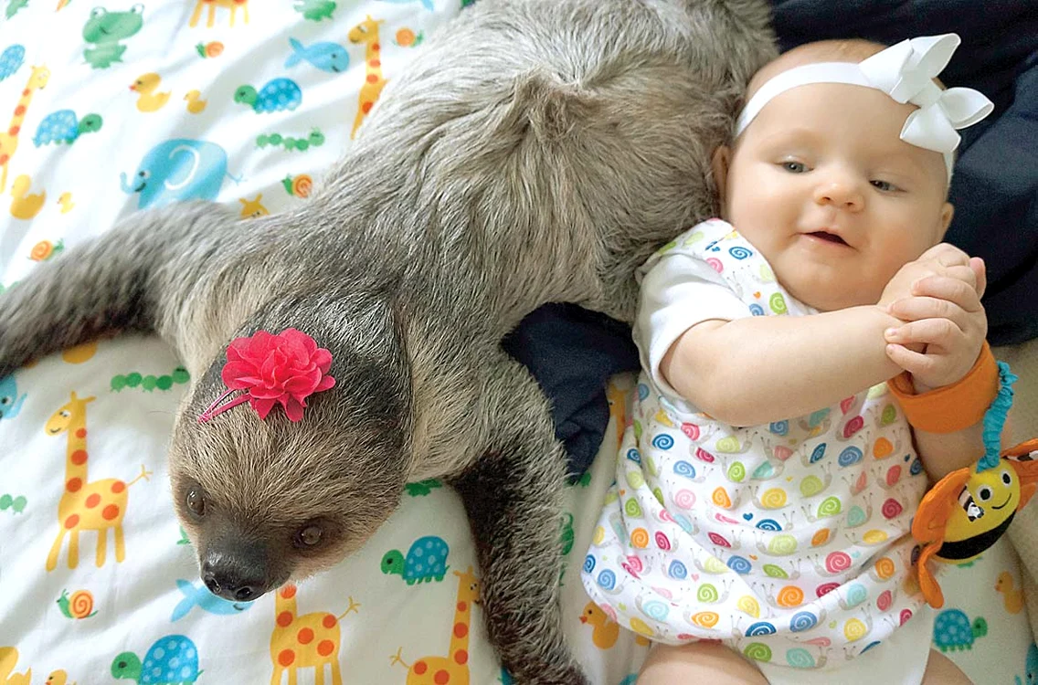 
    Micuţa Alia Heckathorn, de cinci luni, se înţelege de minune cu simpaticul animăluţFoto: Photoland/Caters  