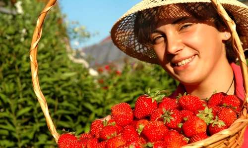 1 48679 original jpg jpeg