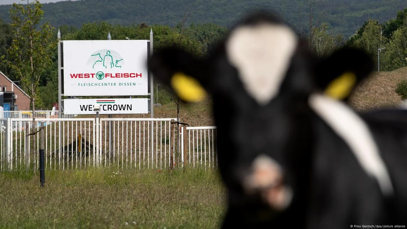 Agricultura asigură mai puţin de 1% din PIB-ul Germaniei