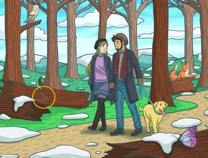 Rezolvarea provocării