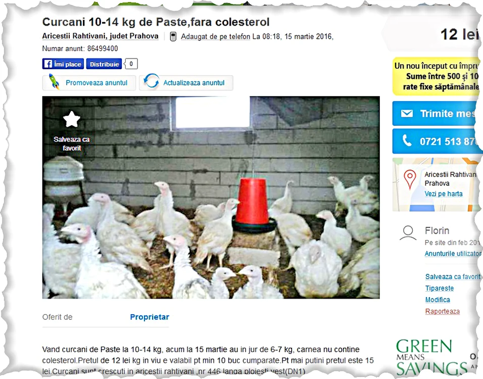 Curcanii se vând  cu 12 lei/kg