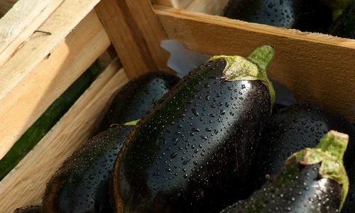 eggplants 1707629 1280 jpg