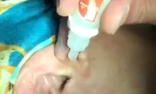 centiped 1 jpeg