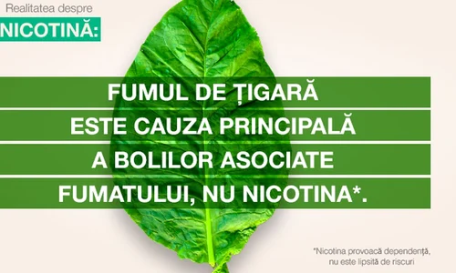 Nicotina: înţelegerea rolului şi a impactului ei în legătură cu fumatul jpeg