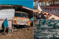 Microbuzul din Pades  Foto Lucian Ignat jpg