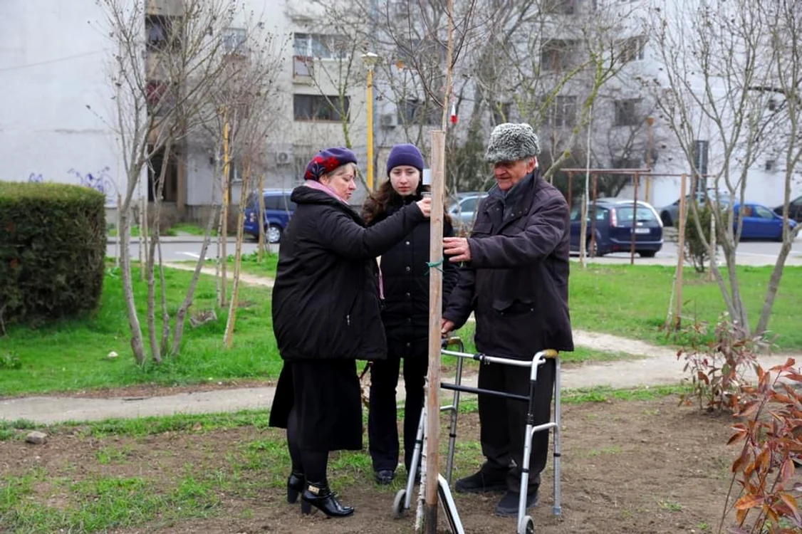 Parcul “Plantați în Amintire” din Constanța sursa foto Ovidiu Oprea 