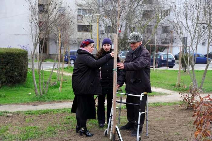 Parcul “Plantați în Amintire” din Constanța / foto: adevarul