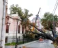Un copac a căzut pe Casa Artelor Galați Foto: Monitorul de Galați jpg