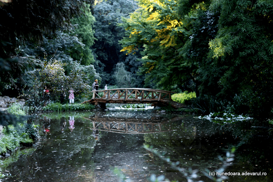 Pădure exotică cu arbori gigantici la Simeria. Parcul, amenajat în trei secole, este unicat în România