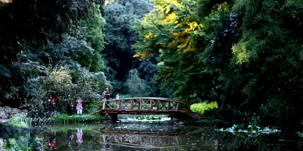 parcul dendrologic simeria (121) JPG