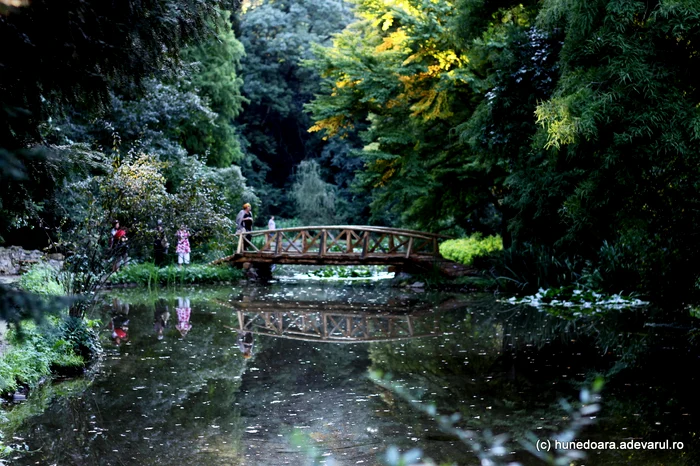Parcul dendrologic din Simeria. Foto: Daniel Guță