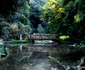 parcul dendrologic simeria (121) JPG