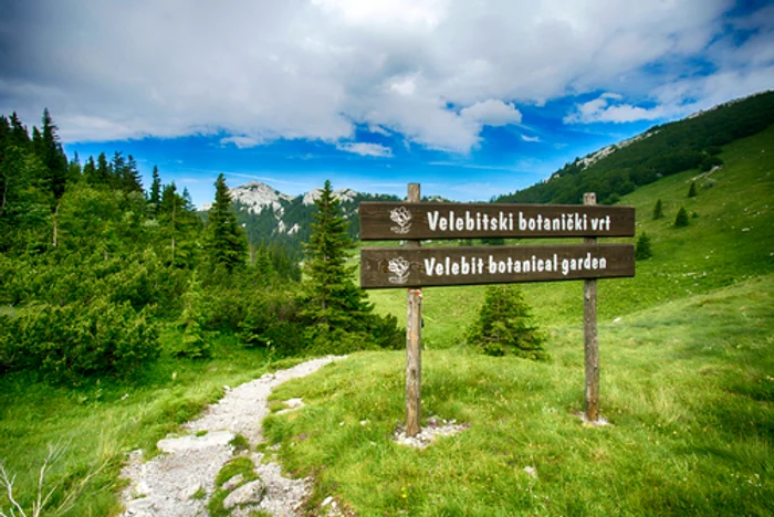 Munții Velebit, Croația / foto: Shutterstock