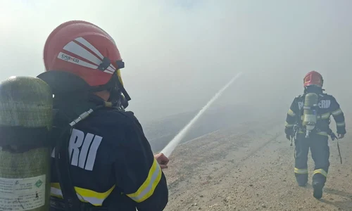 Incendiu puternic la deponeul ecologic  Foto ISU Hunedoara (6) jpg