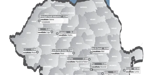 Harta celor mai mari procesatori de carne din România Foto: ZF
