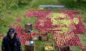 Chipul lui Steve Jobs din mere jpeg