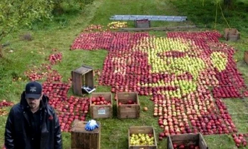 Chipul lui Steve Jobs din mere jpeg