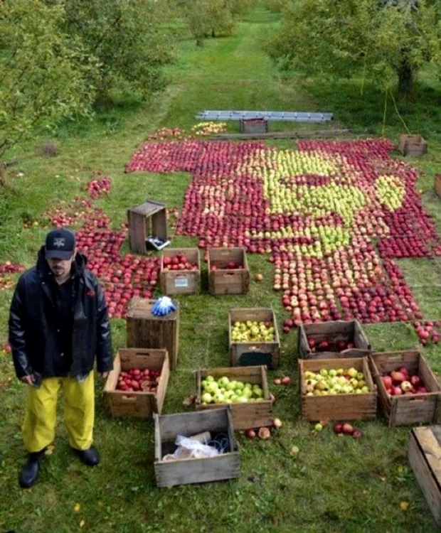 Chipul lui Steve Jobs din mere