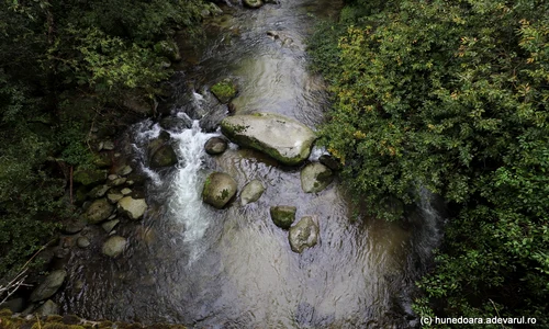 Valea Râului Mare din Retezat  Foto Daniel Guță ADEVĂRUL (50) JPG
