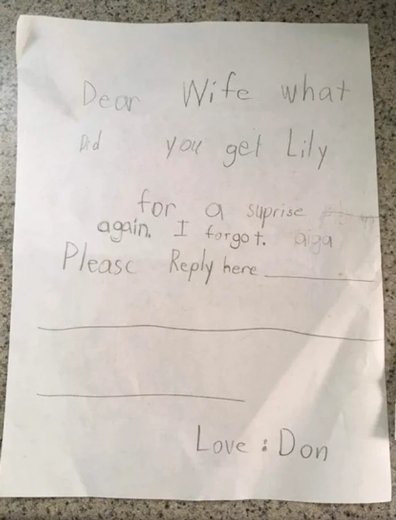 Ingeniozitatea micuței Lily a fost apreciată de internauți