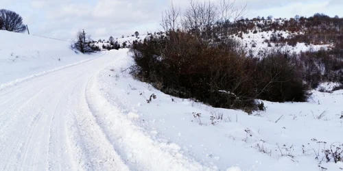drum ruda poienita voinii foto daniel guta adevarul