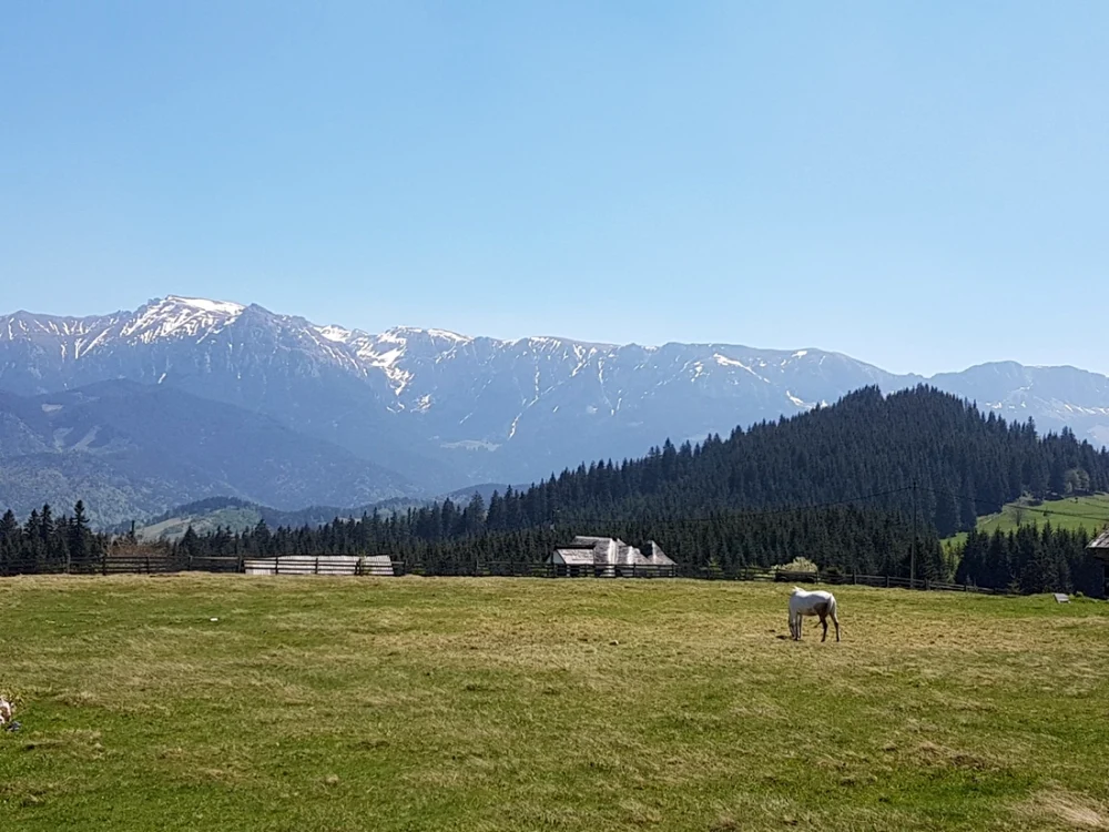 Turist în România FOTO Călin Gavrilaş