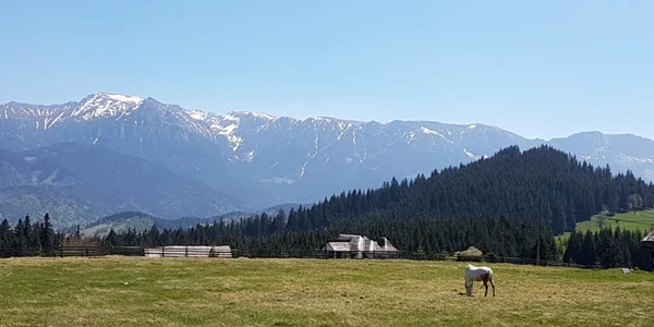 Turist in România foto calin gavrilas