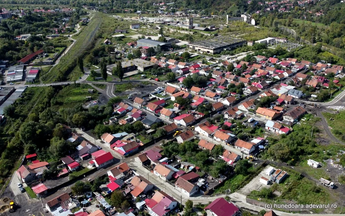 O colonie din Vulcan. Foto: Daniel Guță